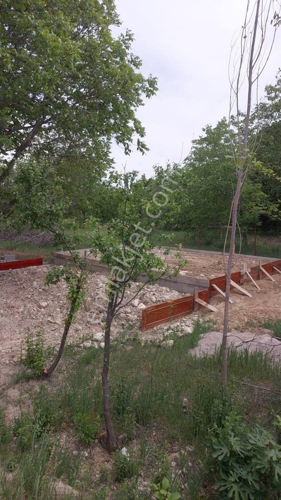✅korkuteli✅çomaklı Da ✅satılık 2.621m2 Bahçe✅resmi Yol Var - Görsel 7