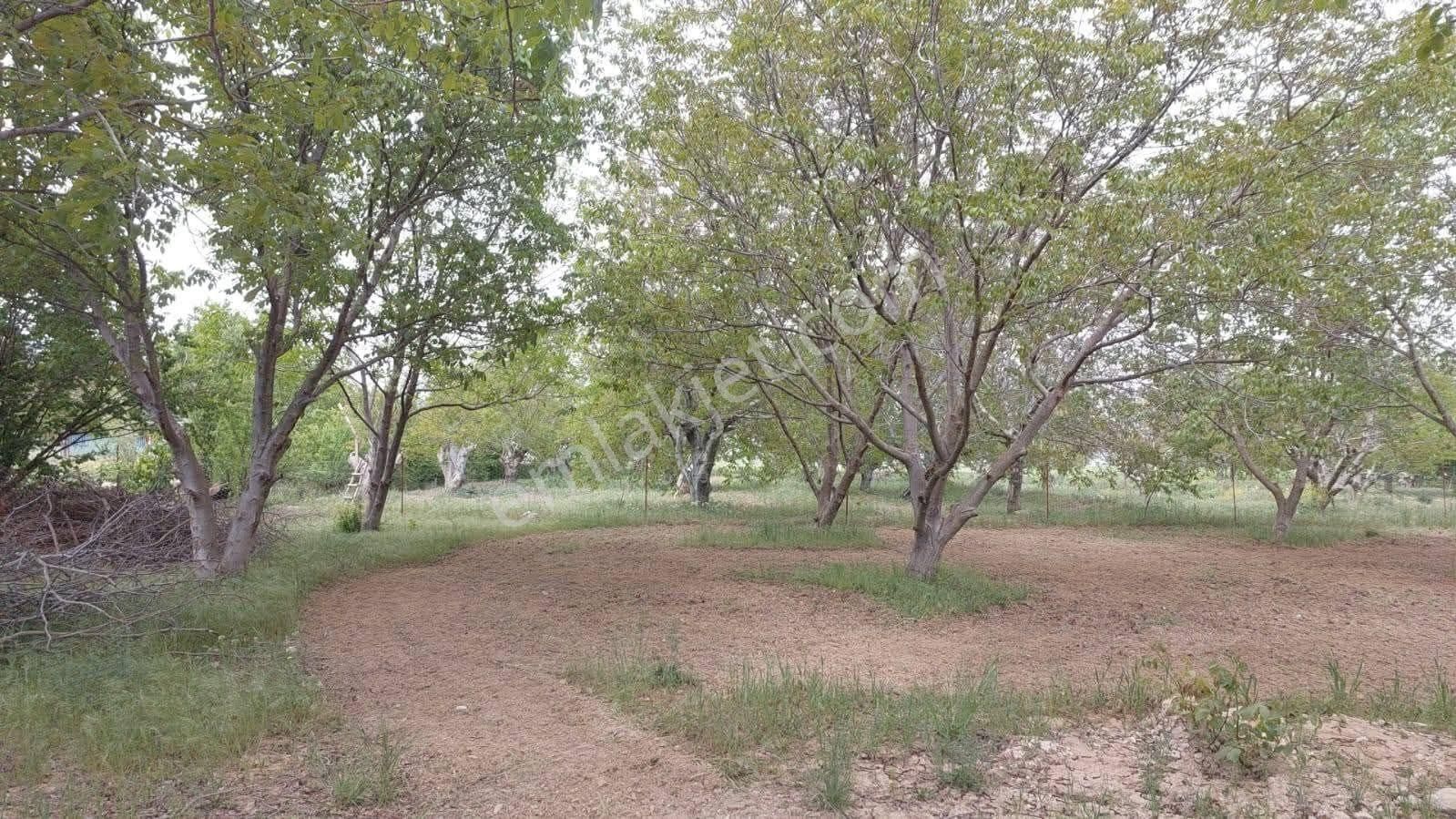 ✅korkuteli✅çomaklı Da ✅satılık 2.621m2 Bahçe✅resmi Yol Var - Görsel 2