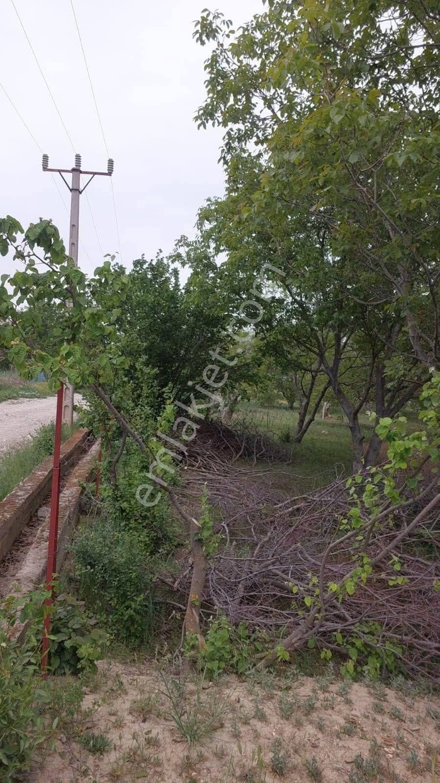 ✅korkuteli✅çomaklı Da ✅satılık 2.621m2 Bahçe✅resmi Yol Var - Görsel 4
