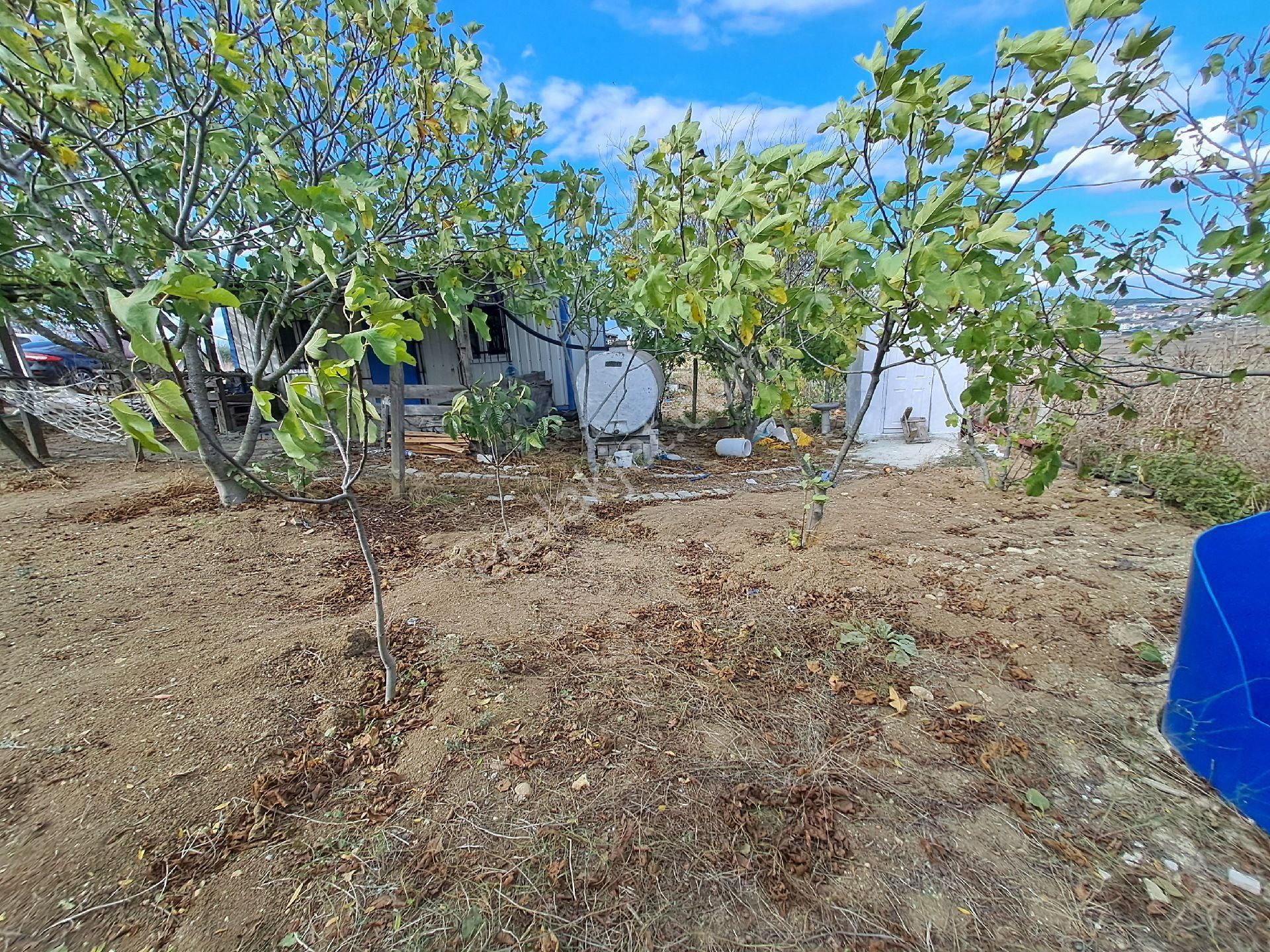 Satılık Bahçeli Ev 250 M2 - Görsel 3