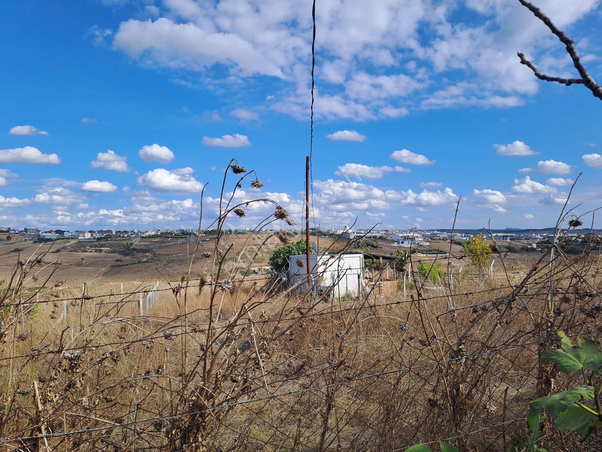 Satılık Bahçeli Ev 250 M2 - Görsel 13