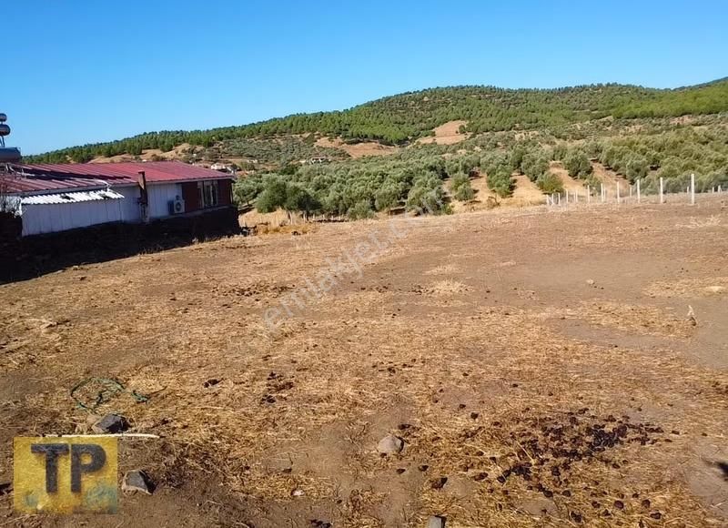 Tire Derebaşı Köyünde Satılık Süper Bir Yer - Görsel 2