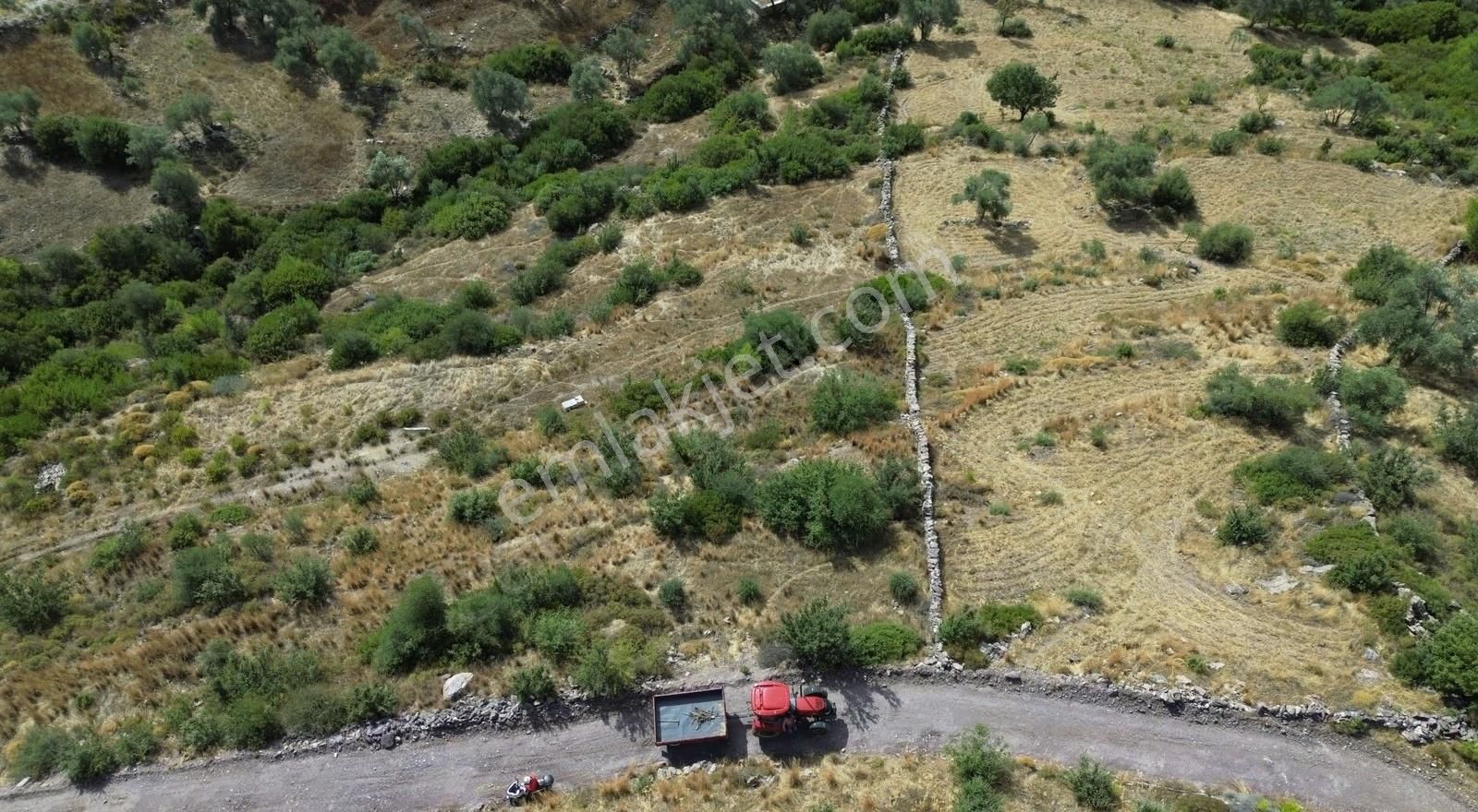 Bodrum Gökpınar Satılık Müstakil 2084m² Resmi Yolu Olan Tarla - Görsel 9