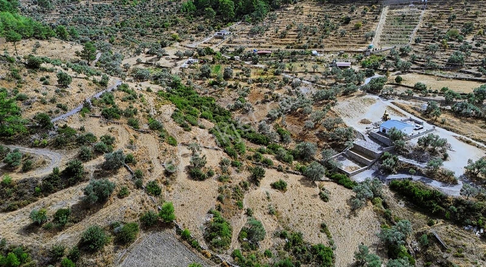 Bodrum Gökpınar Satılık Müstakil 2084m² Resmi Yolu Olan Tarla - Görsel 13
