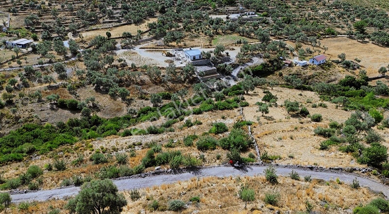 Bodrum Gökpınar Satılık Müstakil 2084m² Resmi Yolu Olan Tarla - Görsel 10