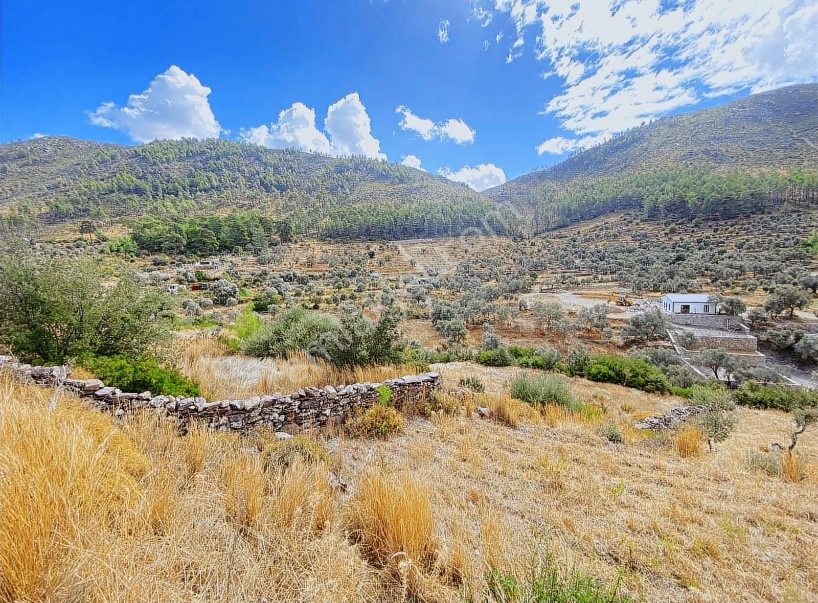 Bodrum Gökpınar Satılık Müstakil 2084m² Resmi Yolu Olan Tarla - Görsel 7