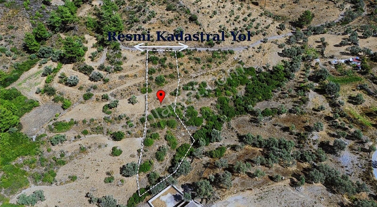 Bodrum Gökpınar Satılık Müstakil 2084m² Resmi Yolu Olan Tarla