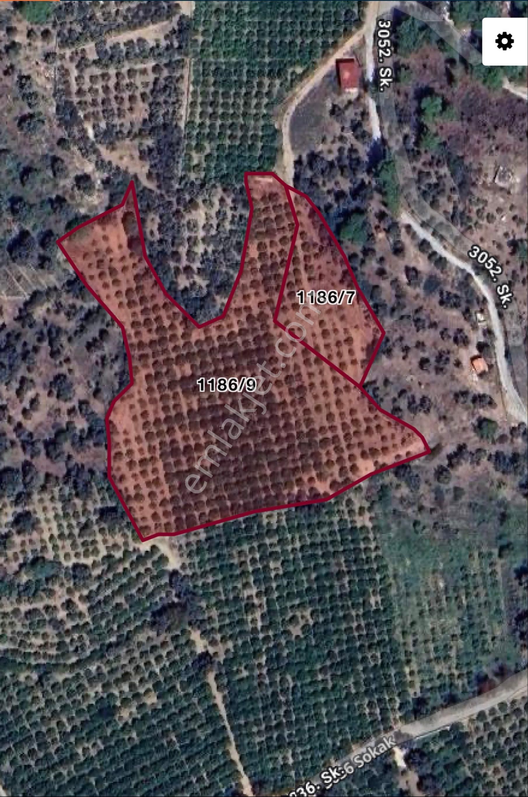 Kısa Bir Sürelik Aciliyeti İçin Fiyat Düştü İzmir Özderede Satılık 11187m²