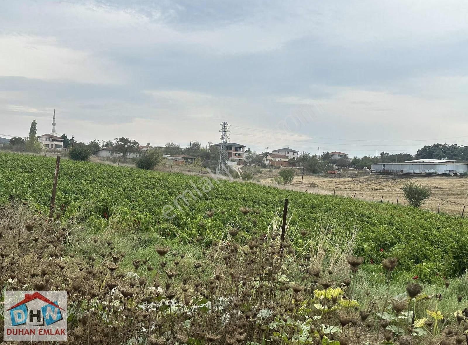 Duhan Emlak Tan Gemicikırı Köyünde Köyiçi Fırsat Arazi - Görsel 2