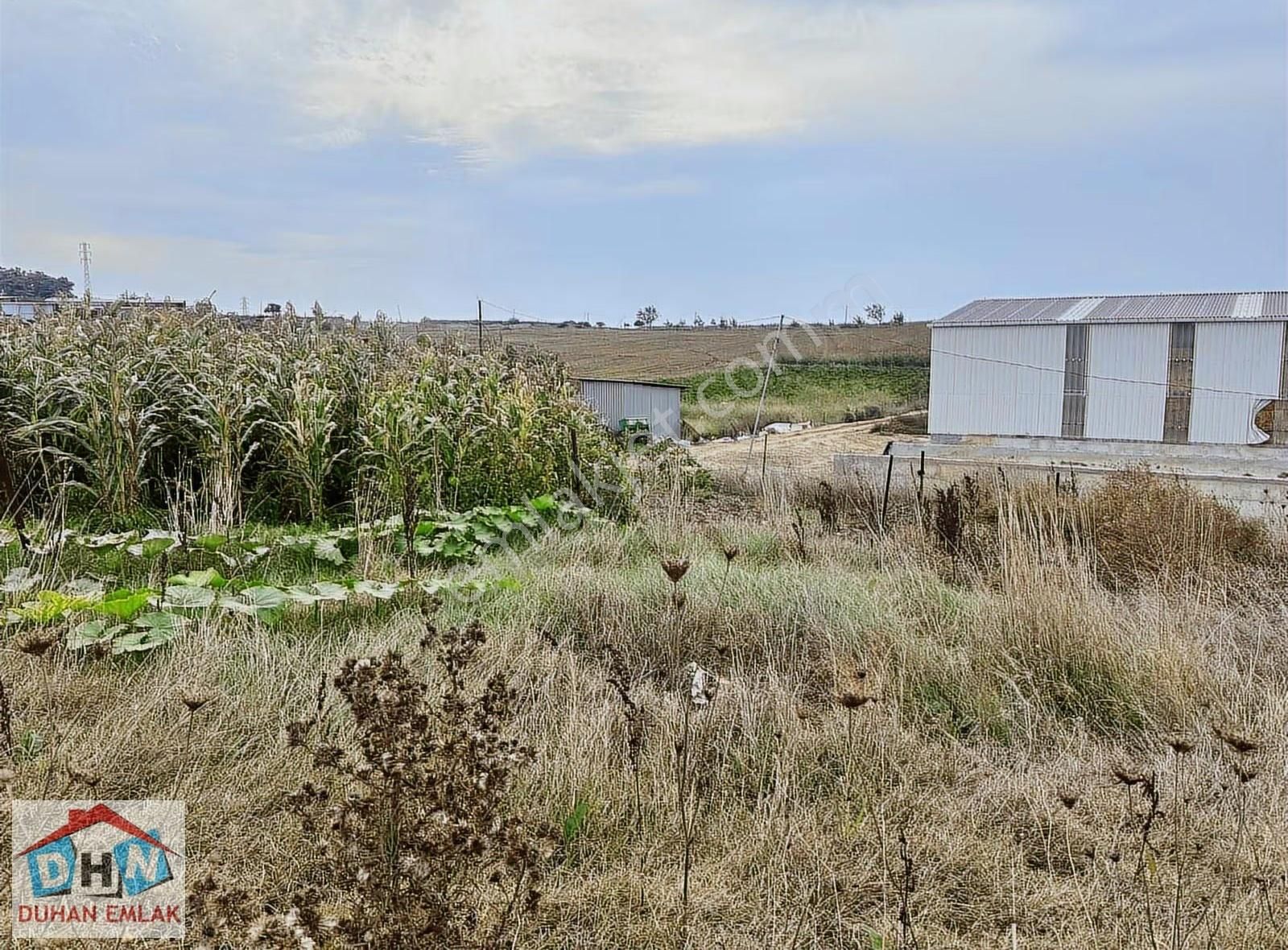 Duhan Emlak Tan Gemicikırı Köyünde Köyiçi Fırsat Arazi - Görsel 16