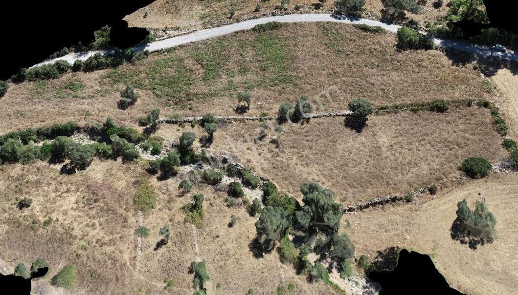 Bodrum Yeniköy Karaovada 7 Dönüm Satılık Fırsat Tarla! - Görsel 2