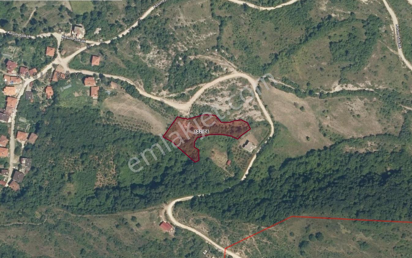 Cide Demirtaş Emlaktan Satılık Tarlalar Detaylar Açıklamada - Görsel 4