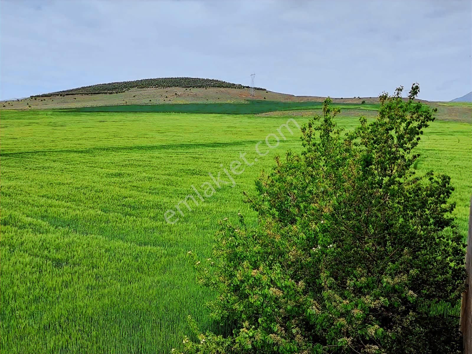 Anayola Sıfır 92.354m2 Arazi - Görsel 6