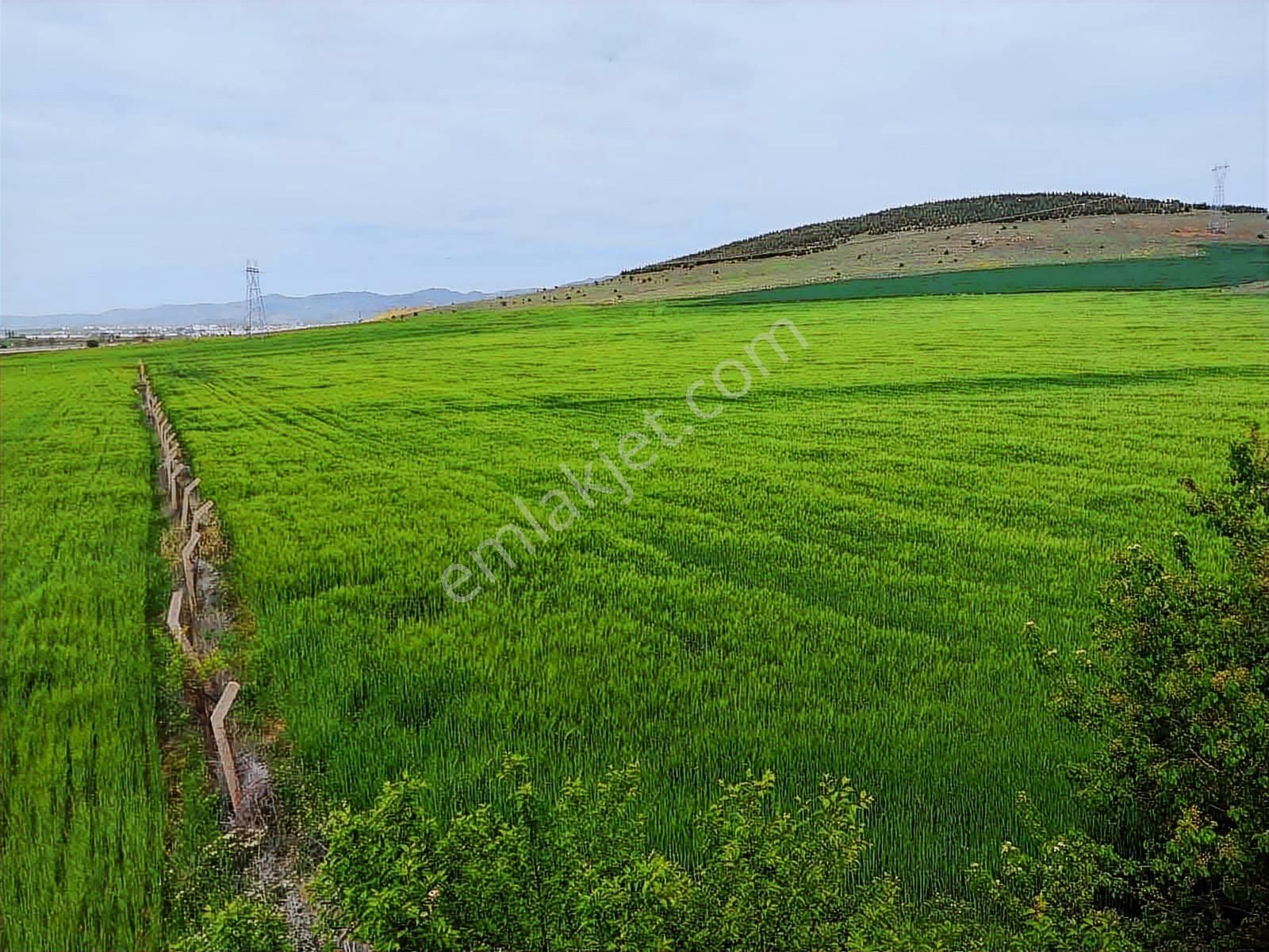 Anayola Sıfır 92.354m2 Arazi - Görsel 4