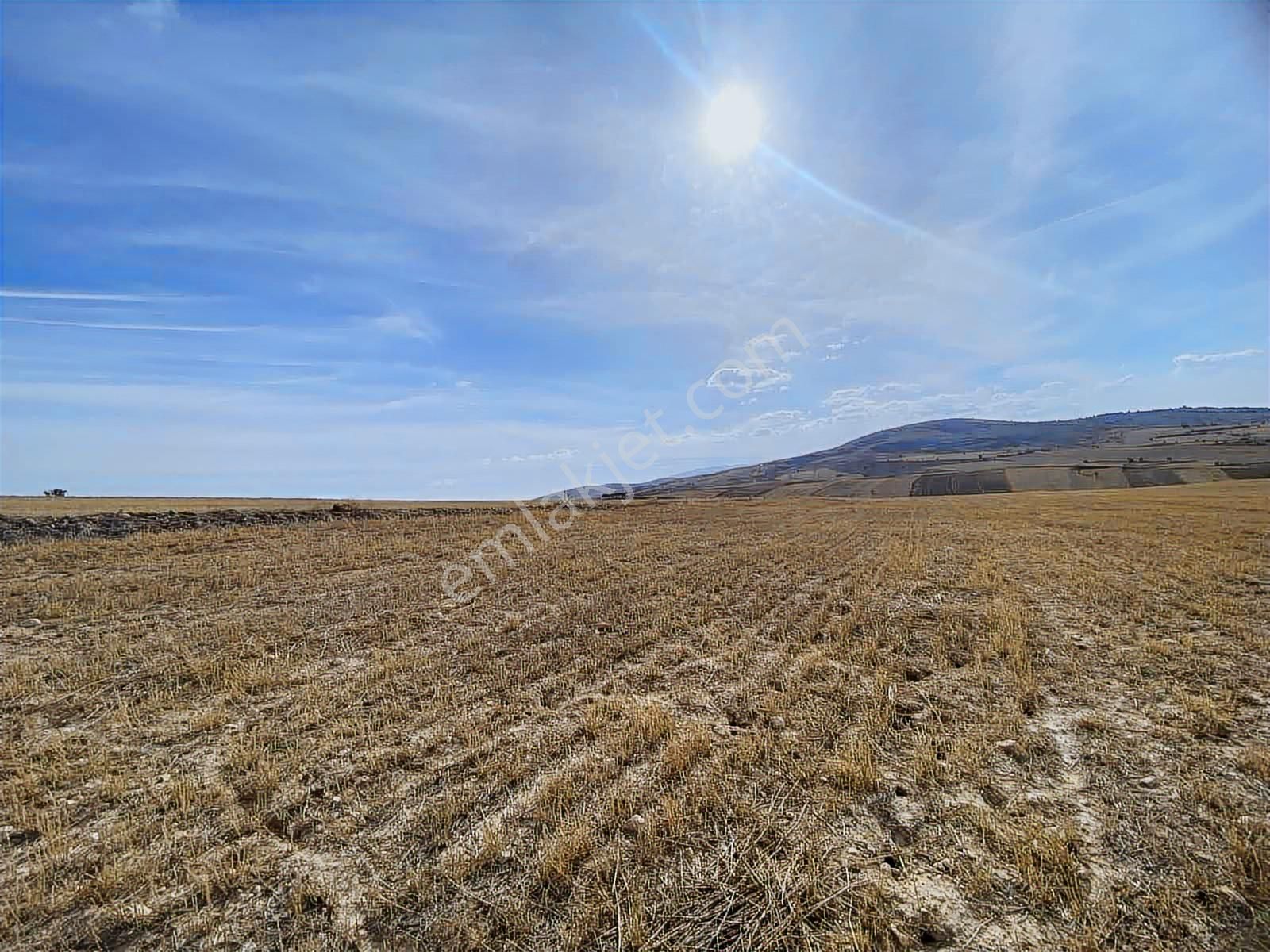 Damlar 84.000 M2 Arazi - Görsel 6