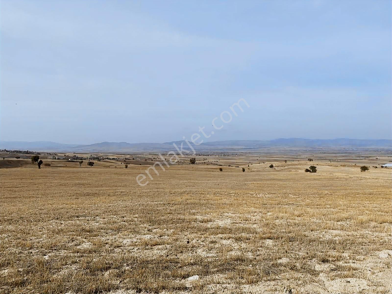 Damlar 84.000 M2 Arazi - Görsel 4