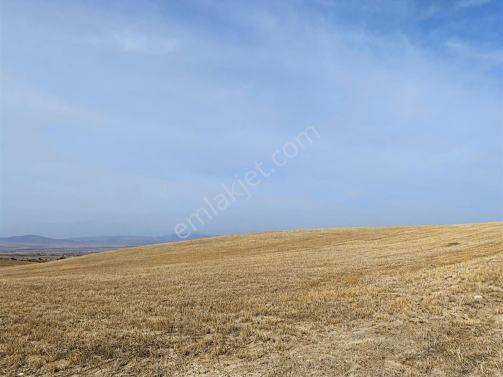 Damlar 84.000 M2 Arazi - Görsel 2