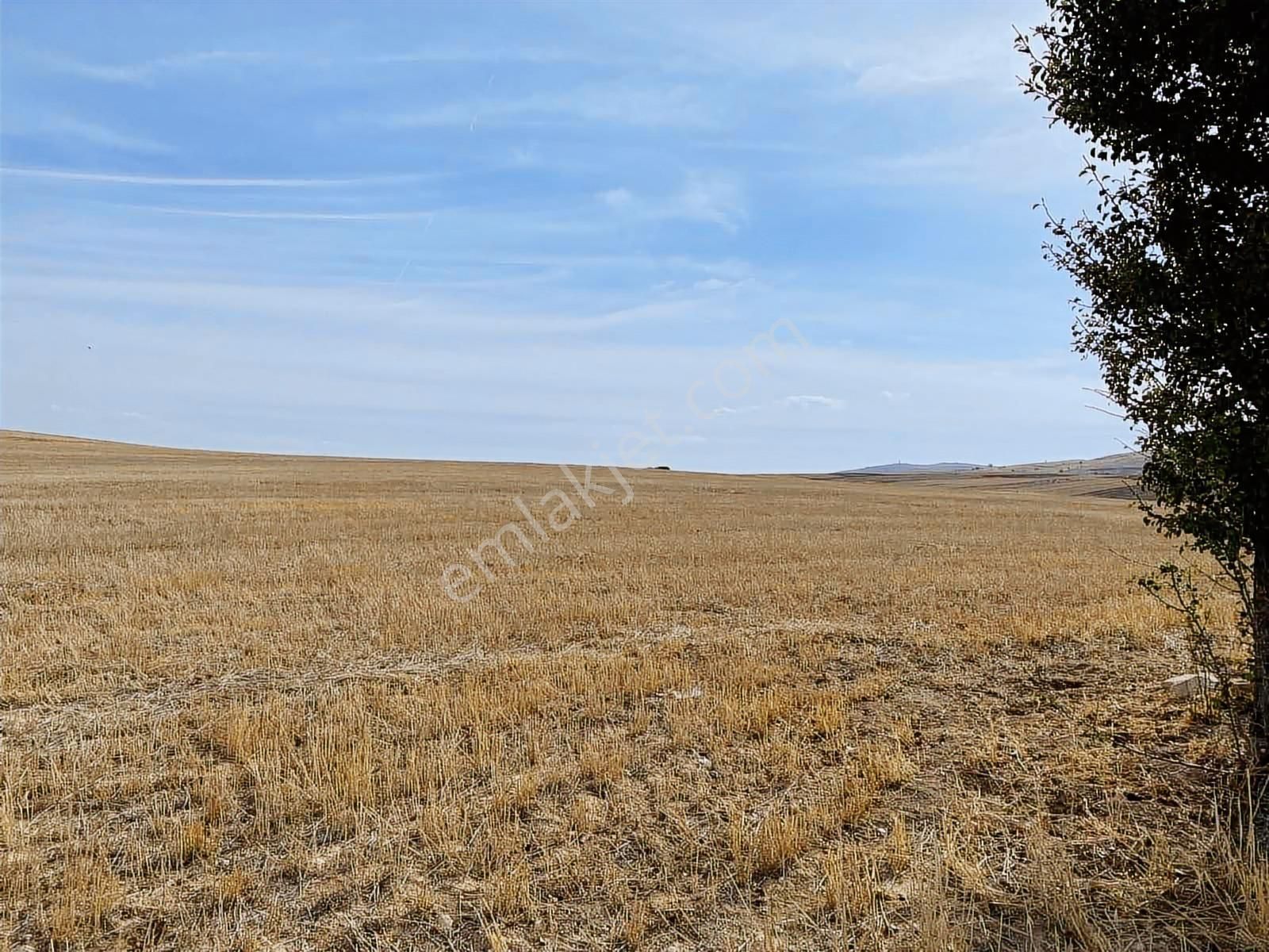 Damlar 84.000 M2 Arazi - Görsel 11