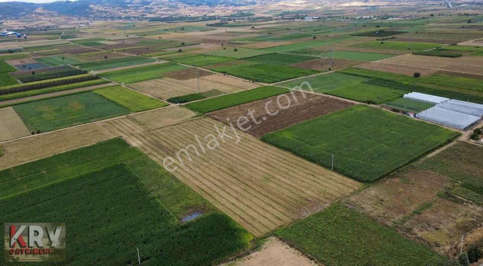 Barcın Da Ana Yola Çok Yakın Satılık Sulu Tarım Arazisi - Görsel 3