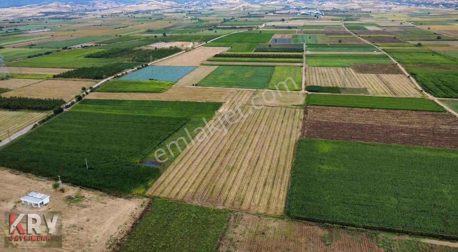Barcın Da Ana Yola Çok Yakın Satılık Sulu Tarım Arazisi - Görsel 7