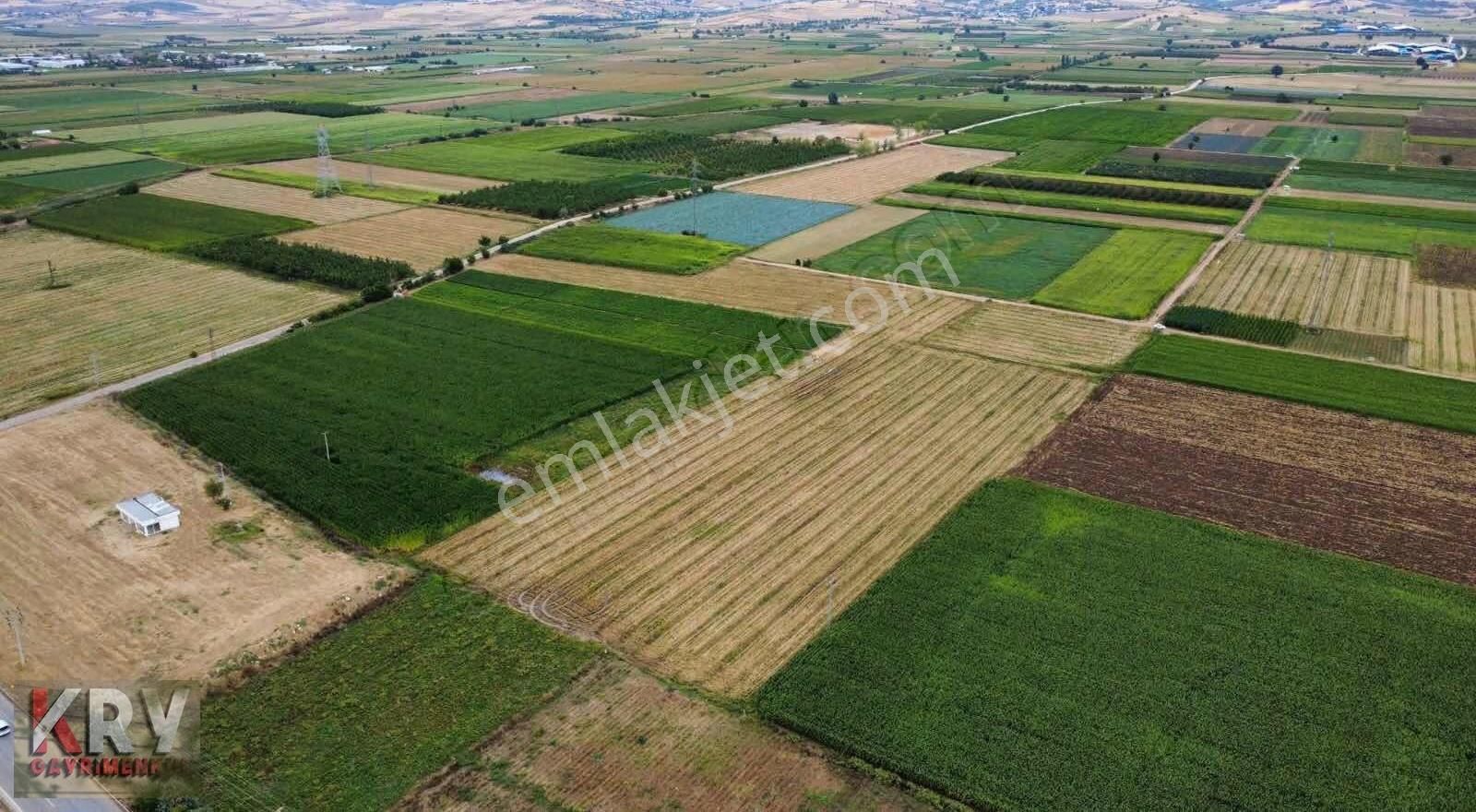 Barcın Da Ana Yola Çok Yakın Satılık Sulu Tarım Arazisi - Görsel 17