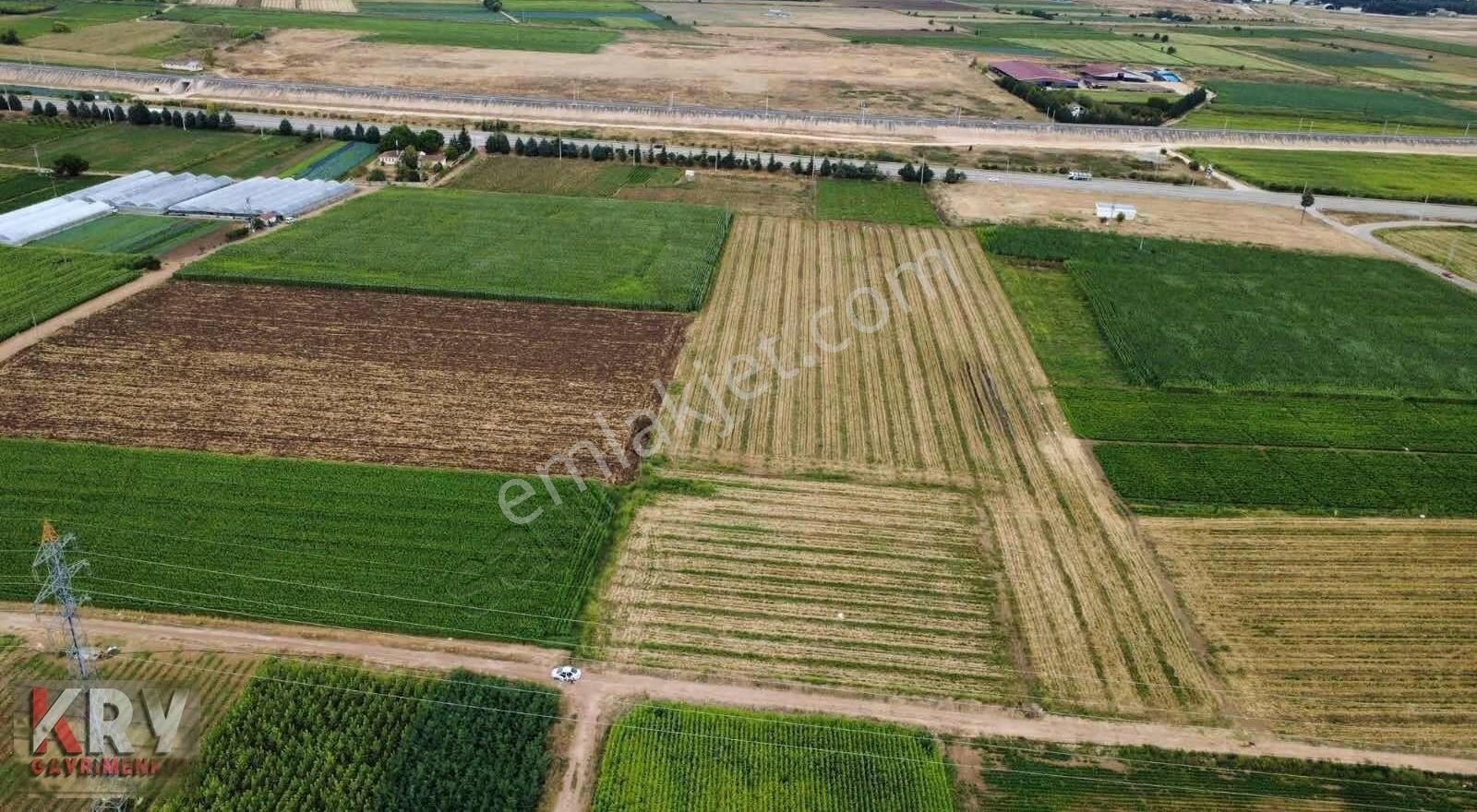 Barcın Da Ana Yola Çok Yakın Satılık Sulu Tarım Arazisi - Görsel 6