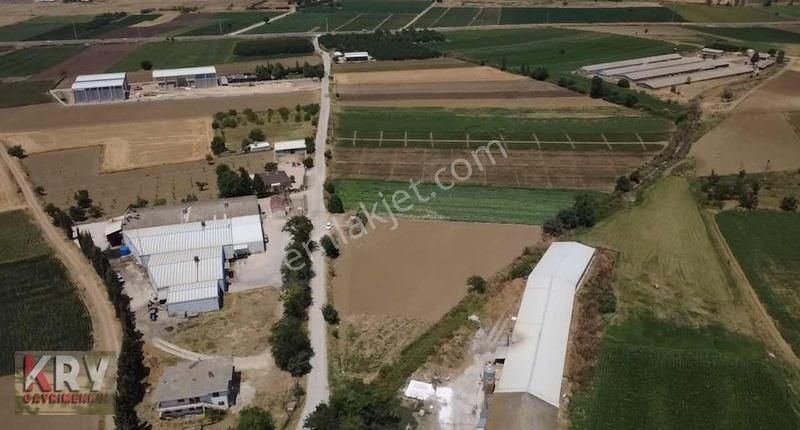 Subaşı Da Yol Su Elektrik Problemi Olmayan Tarla - Görsel 13