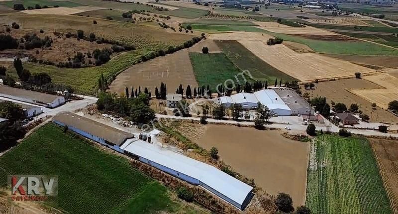 Subaşı Da Yol Su Elektrik Problemi Olmayan Tarla - Görsel 12