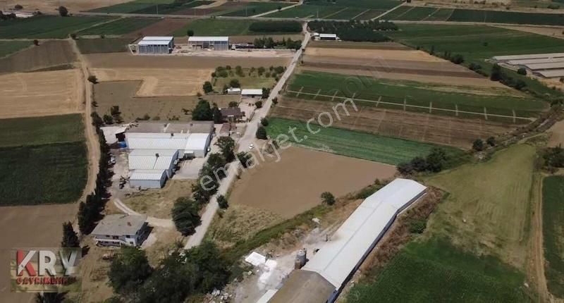 Subaşı Da Yol Su Elektrik Problemi Olmayan Tarla - Görsel 6