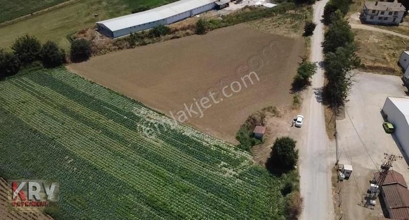 Subaşı Da Yol Su Elektrik Problemi Olmayan Tarla - Görsel 9