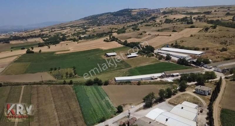 Subaşı Da Yol Su Elektrik Problemi Olmayan Tarla - Görsel 15