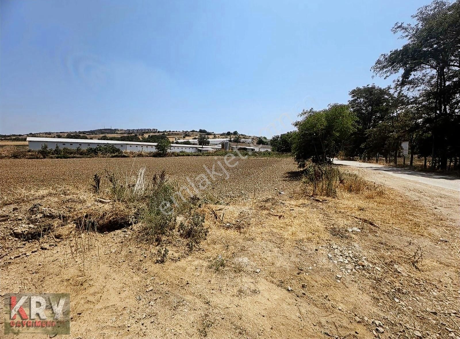 Subaşı Da Yol Su Elektrik Problemi Olmayan Tarla - Görsel 3