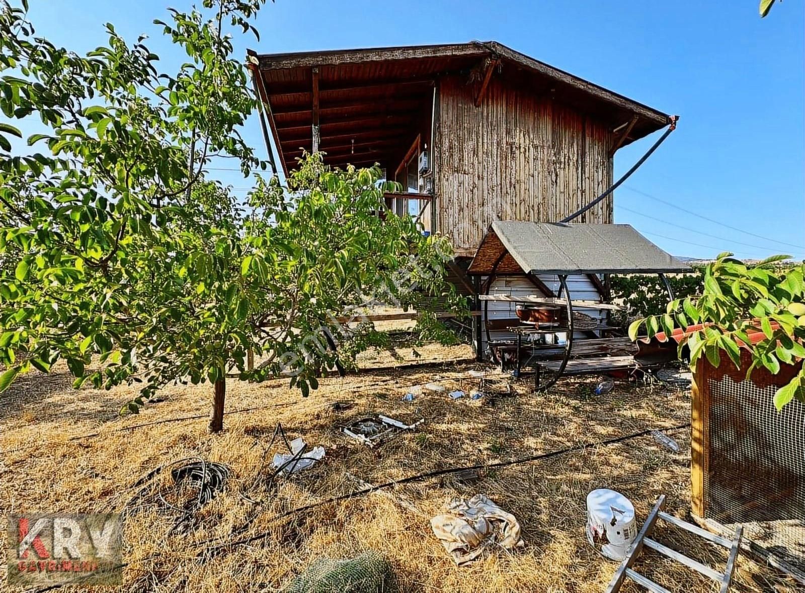 Aydoğdu'da 8.111 M2 Yetişkin Ceviz Bahçesi - Görsel 10