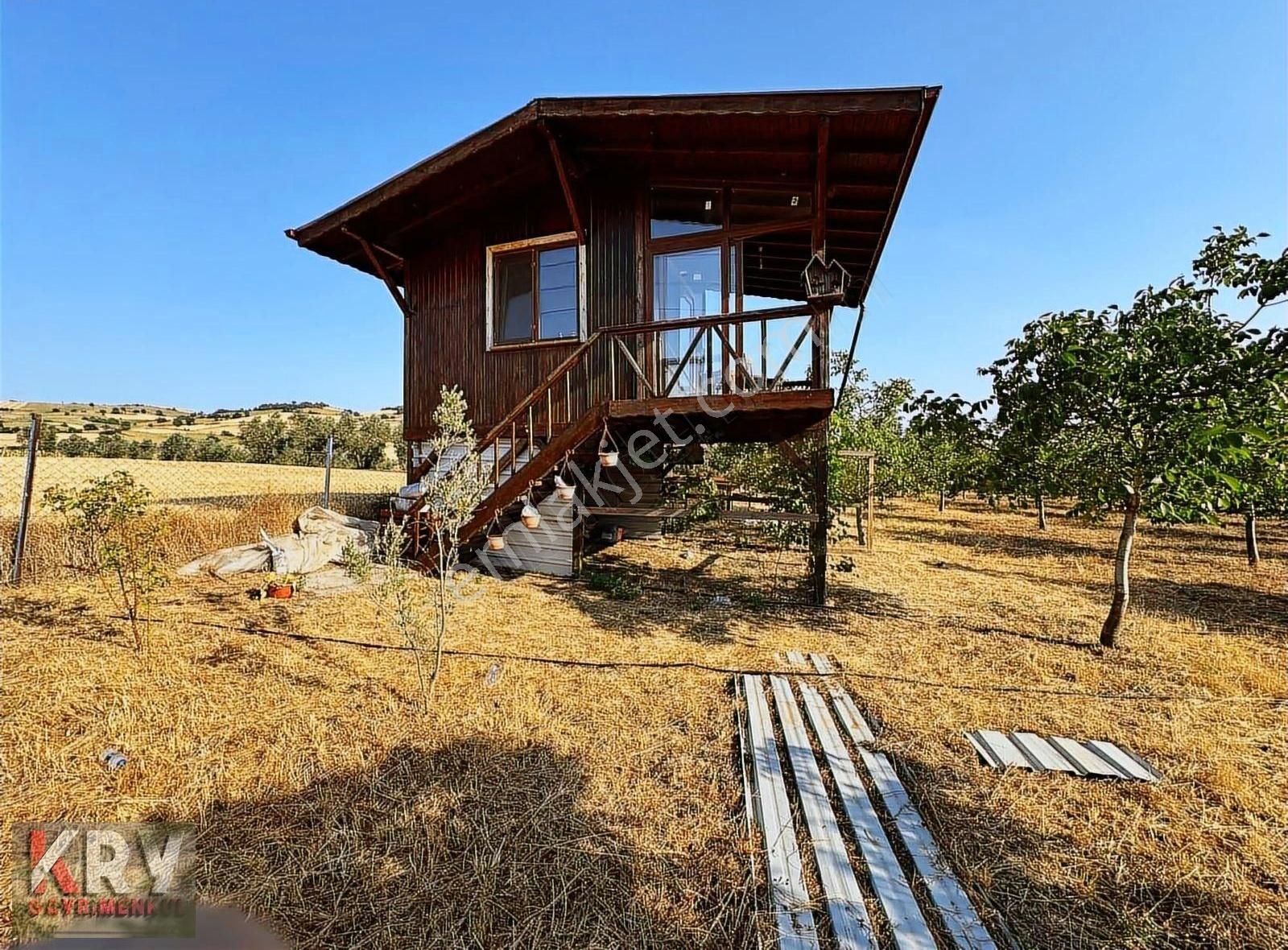 Aydoğdu'da 8.111 M2 Yetişkin Ceviz Bahçesi - Görsel 3