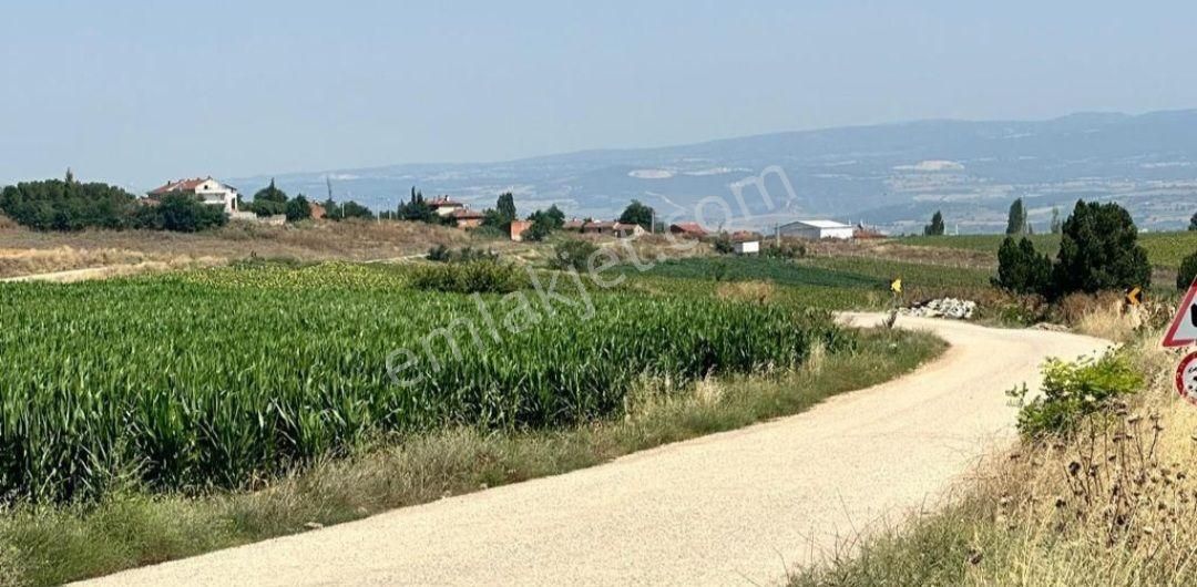 Bursa Yenişehirde, Yatırımlık Arazi 14 Dönüm - Görsel 9