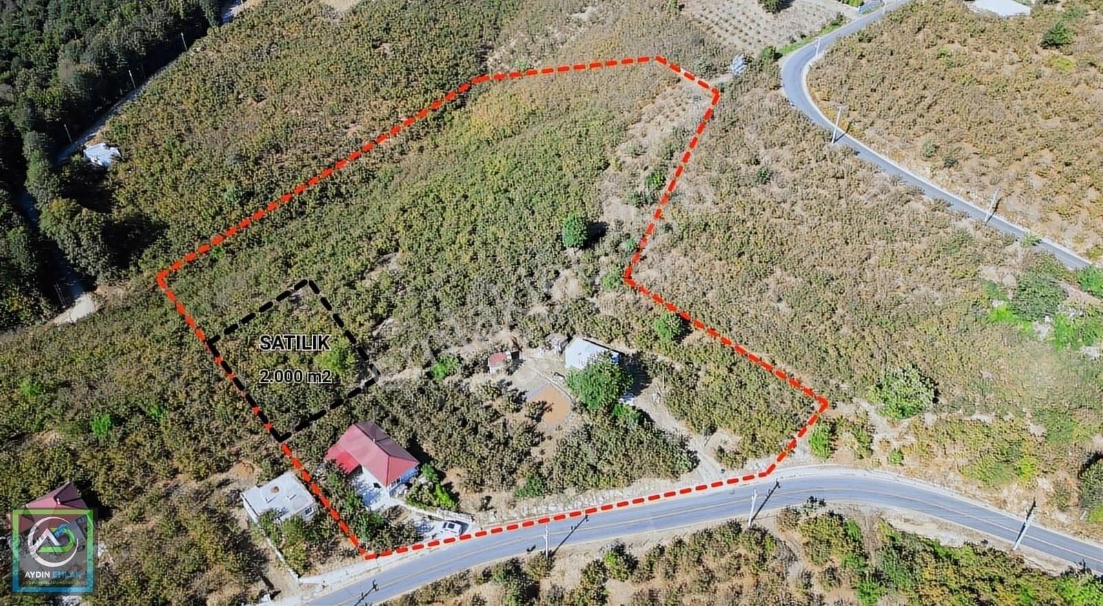 Aydın Emlak'tan Satılık Tarla 2.000 M2 Güzlek / Akyazı - Görsel 7