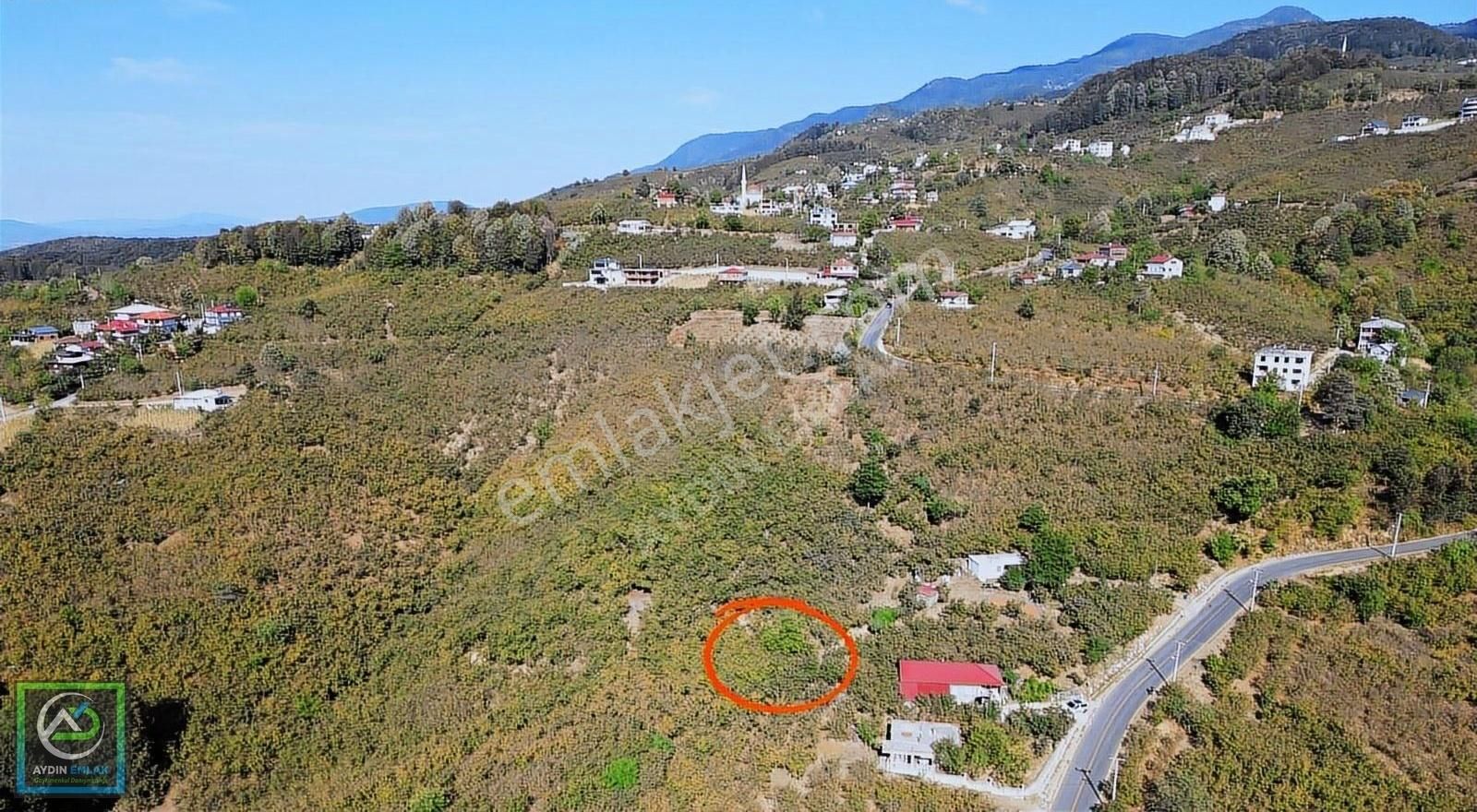 Aydın Emlak'tan Satılık Tarla 2.000 M2 Güzlek / Akyazı - Görsel 2