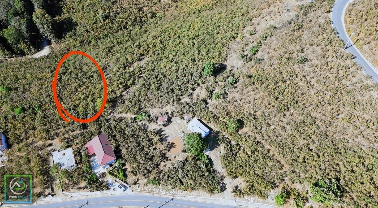 Aydın Emlak'tan Satılık Tarla 2.000 M2 Güzlek / Akyazı - Görsel 10