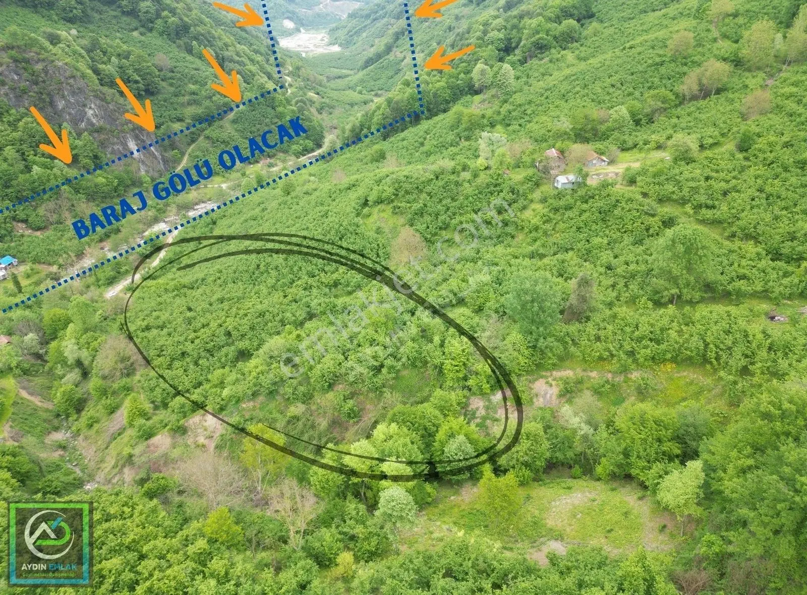 Aydın Emlak'tan Satılık Fındık Bahçesi Ballıkaya Baraj Manzaralı
