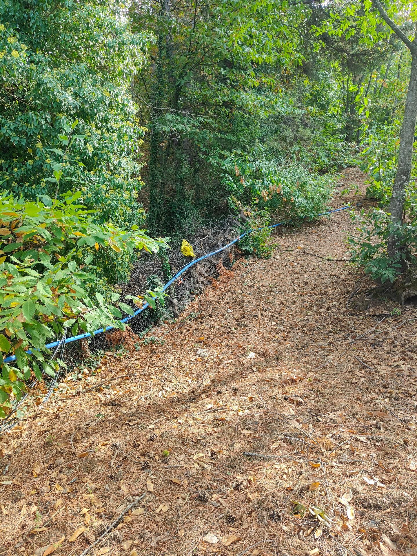 Bayındır Gayrimenkul - Satılık Kiraz Bagcesi - Görsel 14