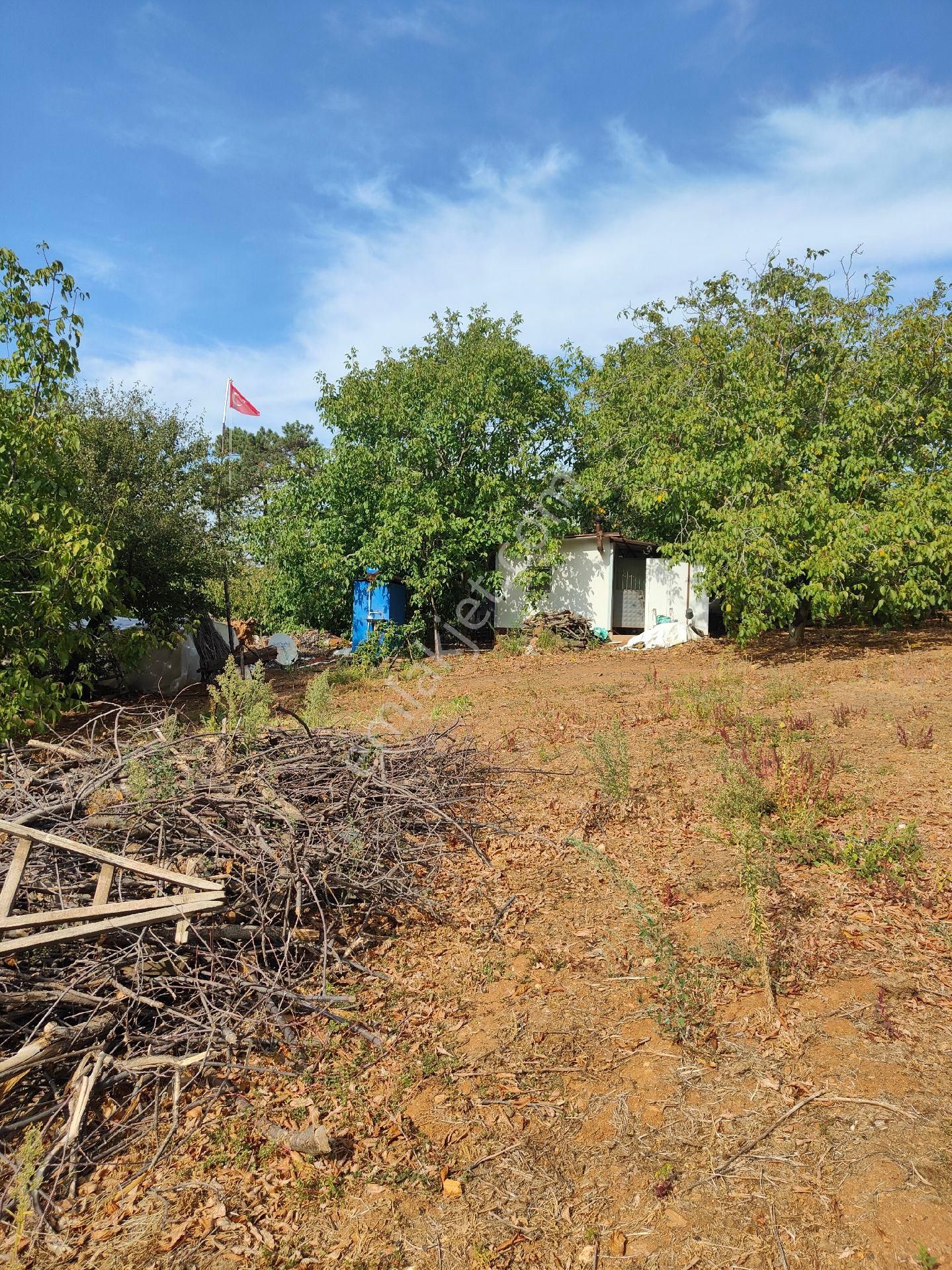 Bayındır Gayrimenkul - Satılık Kiraz Bagcesi - Görsel 8