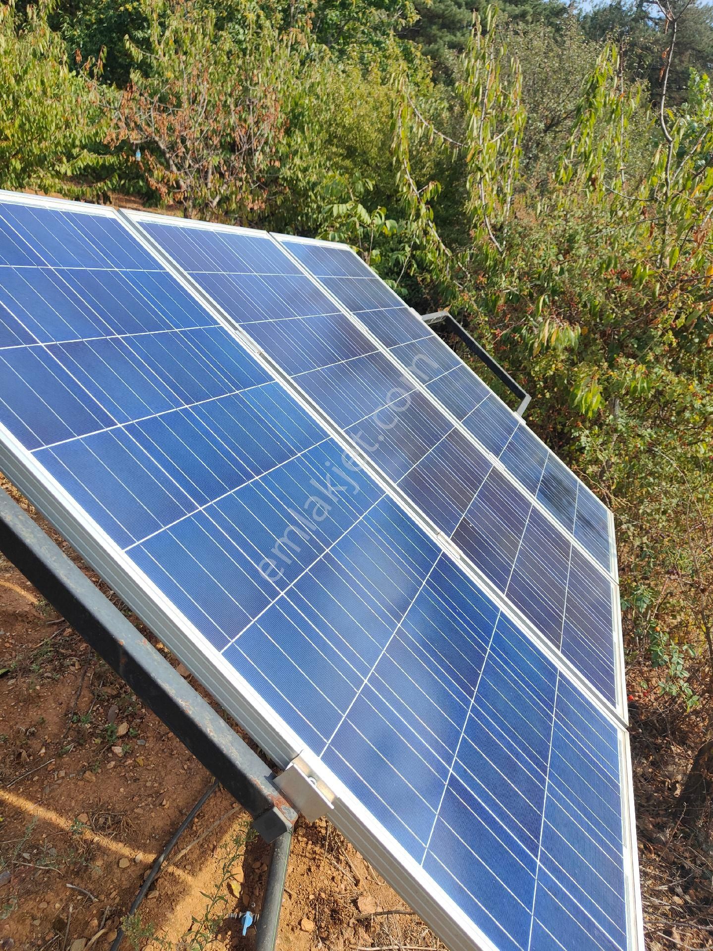 Bayındır Gayrimenkul - Satılık Kiraz Bagcesi - Görsel 4