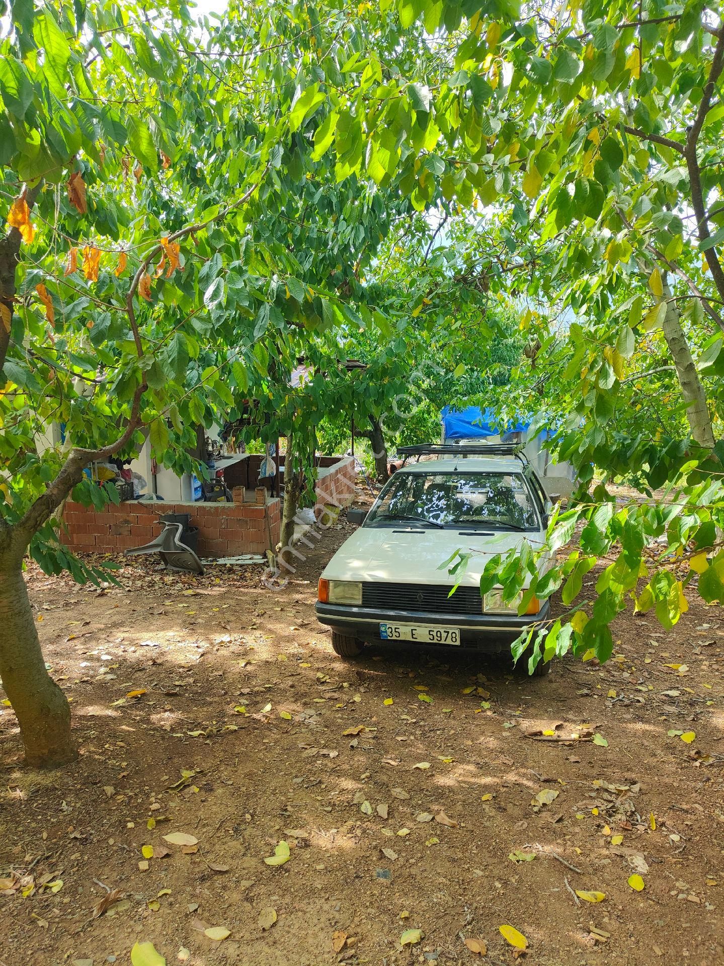 Bayındır Gayrimenkul - Satılık Kiraz Bagcesi - Görsel 10