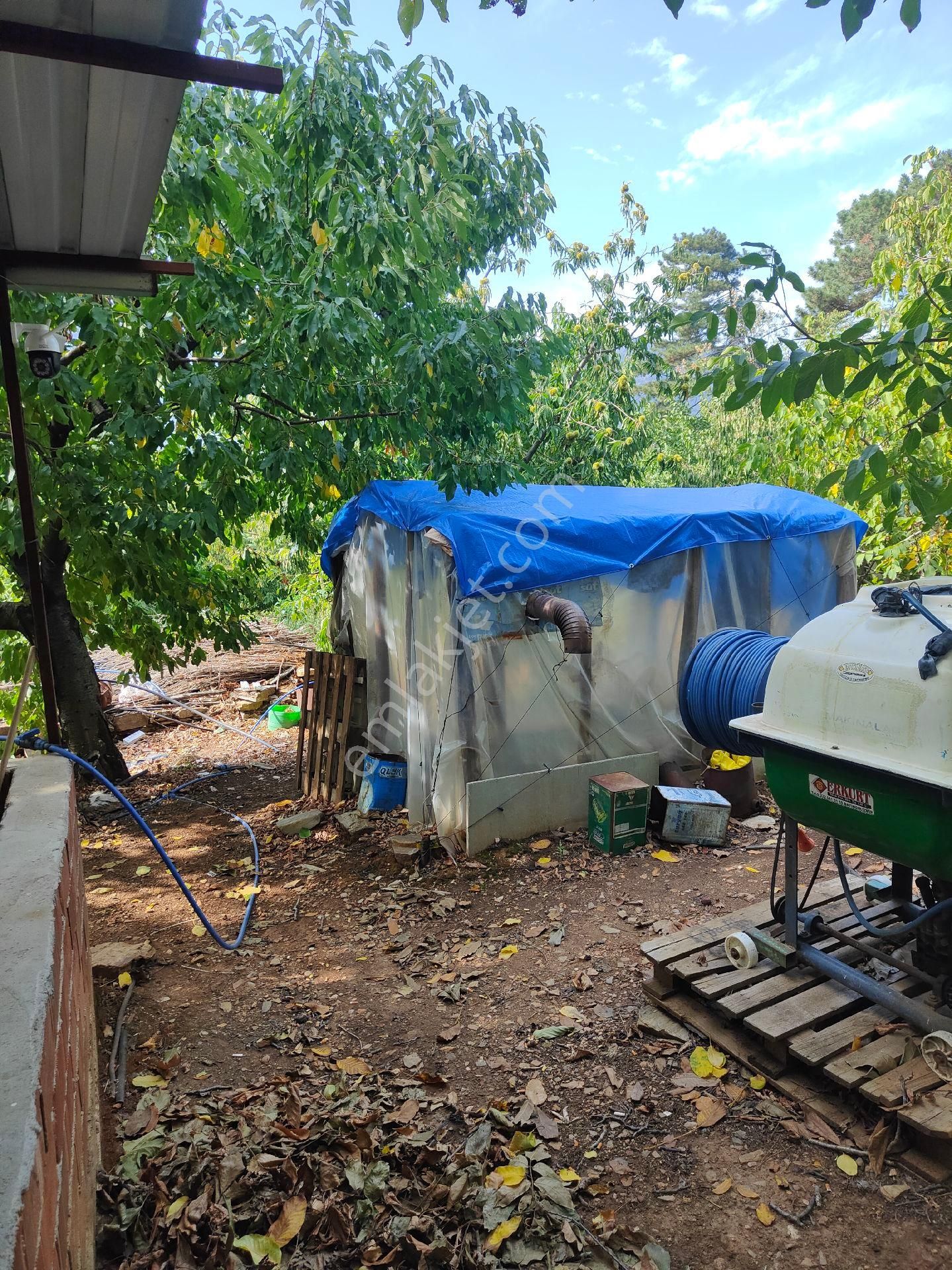 Bayındır Gayrimenkul - Satılık Kiraz Bagcesi - Görsel 19