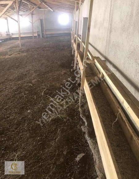 Yeşilova Orhanlıda 12.300m2 Satılık Tarla - Görsel 3