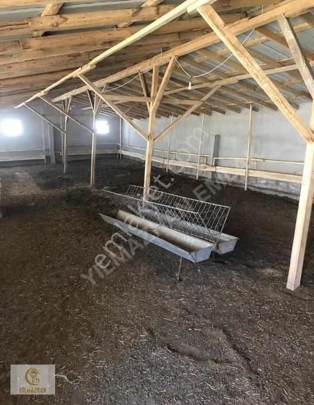 Yeşilova Orhanlıda 12.300m2 Satılık Tarla - Görsel 13