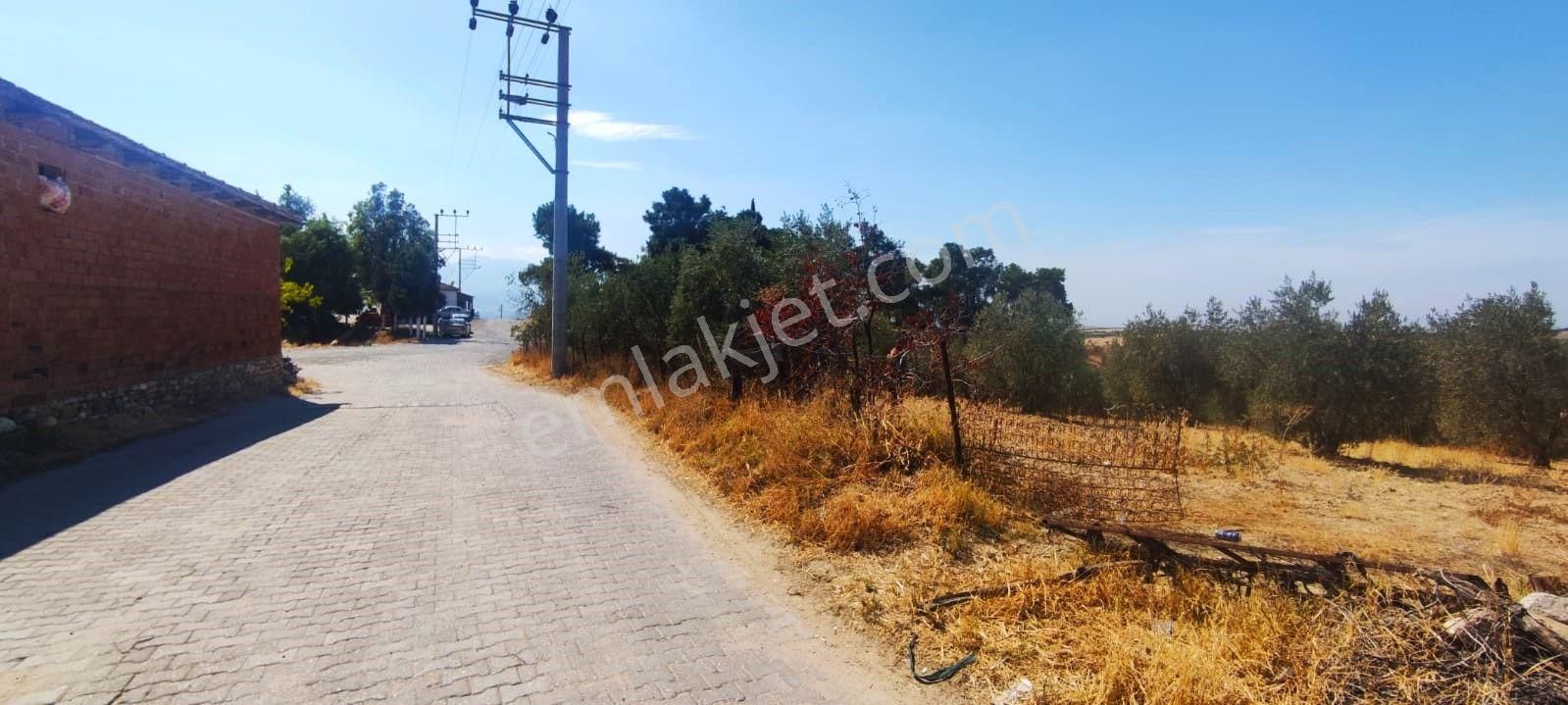 Salihli Akviran'da Satılık Köy İçi Köşe Parsel Zeytinlik (video) - Görsel 30