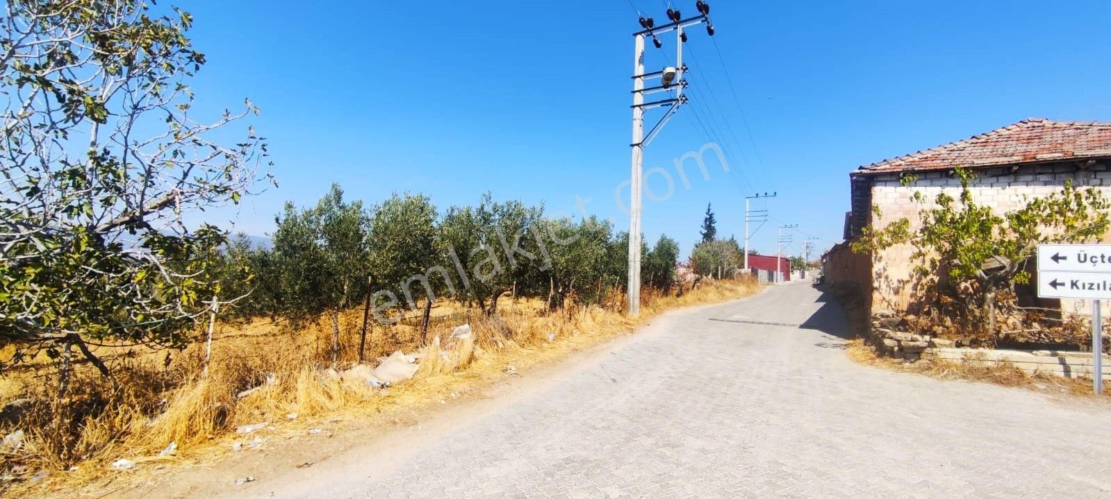 Salihli Akviran'da Satılık Köy İçi Köşe Parsel Zeytinlik (video) - Görsel 21