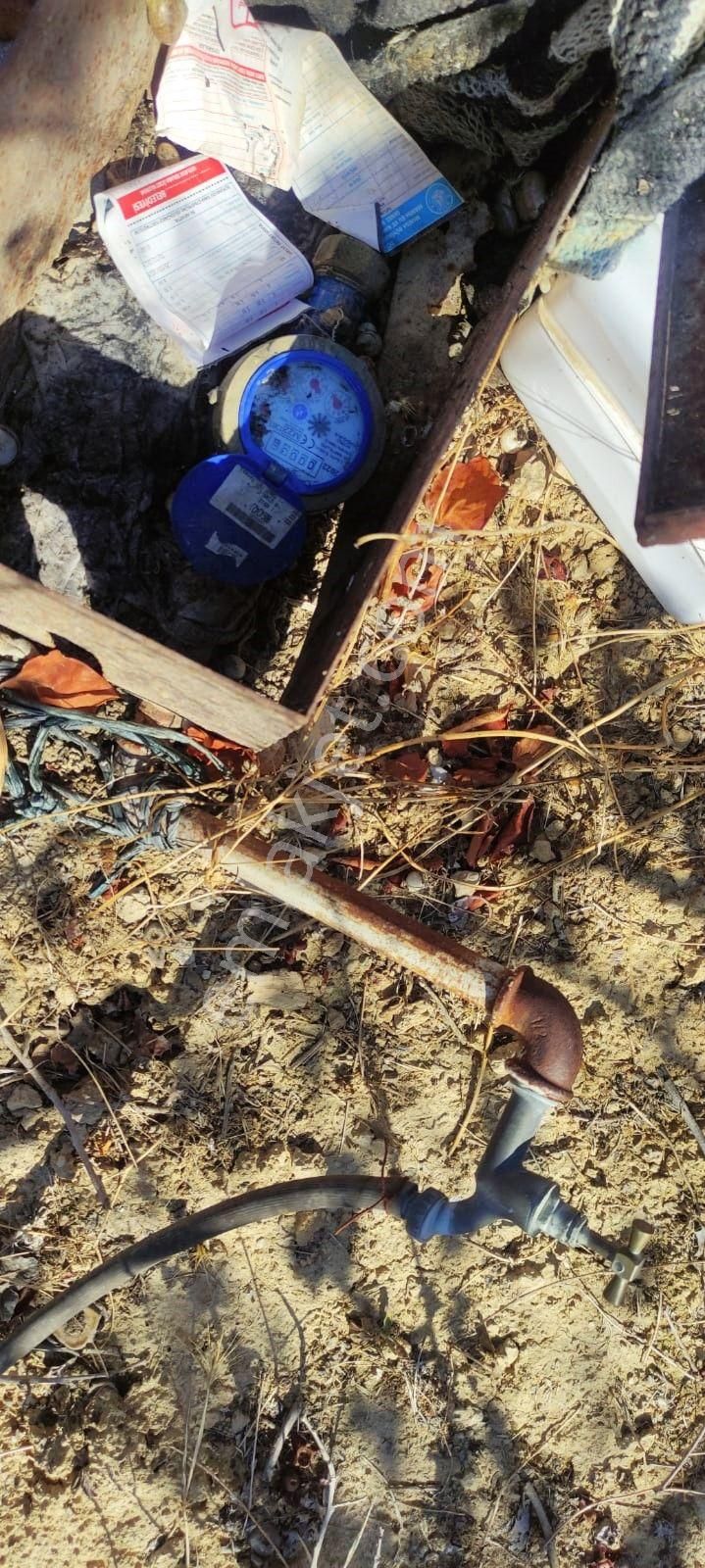 Salihli Akviran'da Satılık Köy İçi Köşe Parsel Zeytinlik (video) - Görsel 20