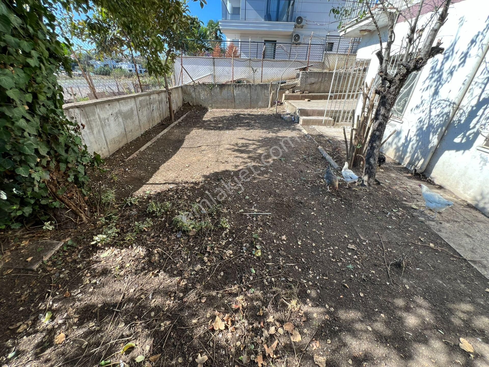 Vizyon Emlaktan 150 M2 Bahçe Kullanımlı Müstakil Girişli 2+1 Daire - Görsel 4